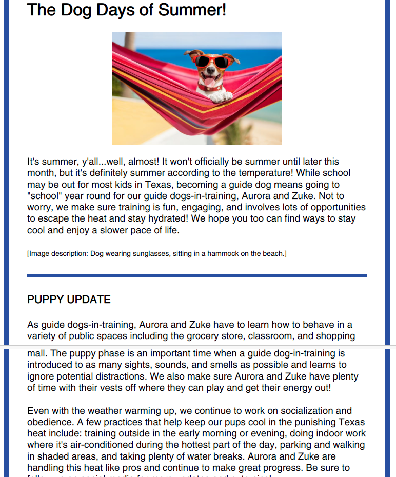 June 2023 - Vision Guide Dogs