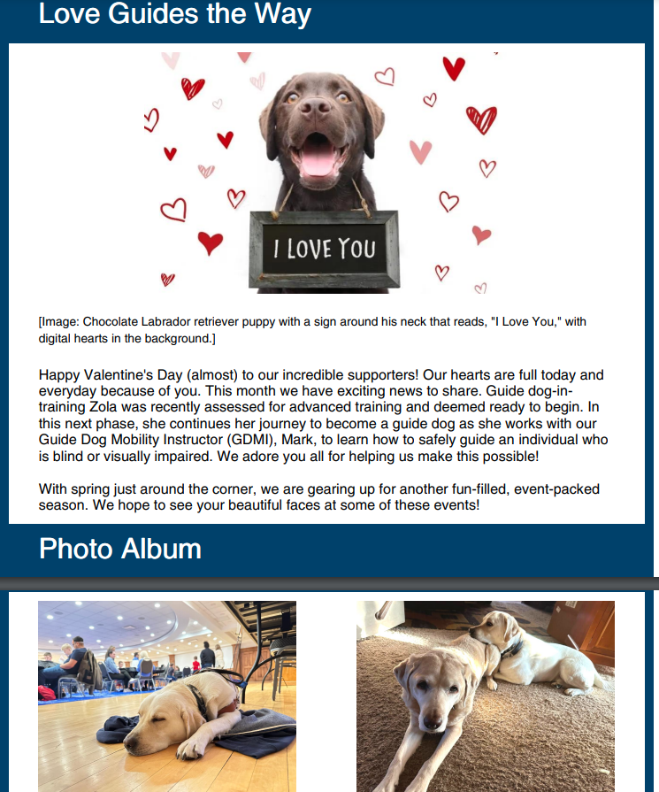 February 2024 Newsletter - Vision Guide Dogs