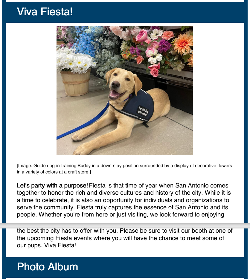 April 2024 Newsletter - Vision Guide Dogs