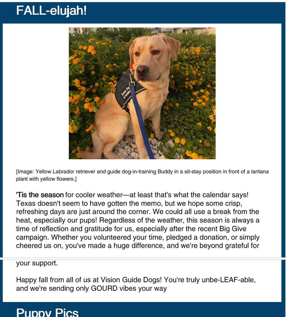 October 2024 Newsletter - Vision Guide Dogs