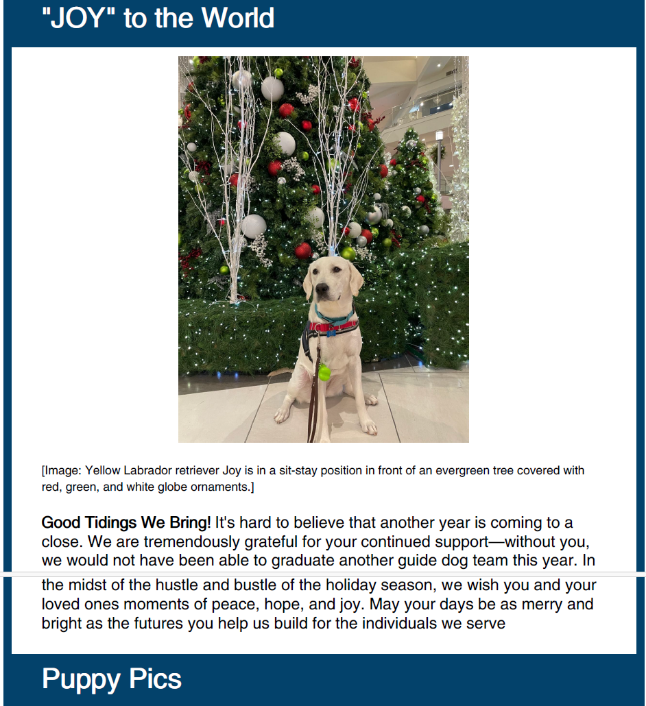 December 2024 Newsletter - Vision Guide Dogs