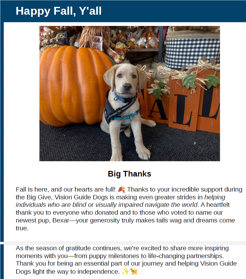 Fall 2025 Newsletter - Vision Guide Dogs