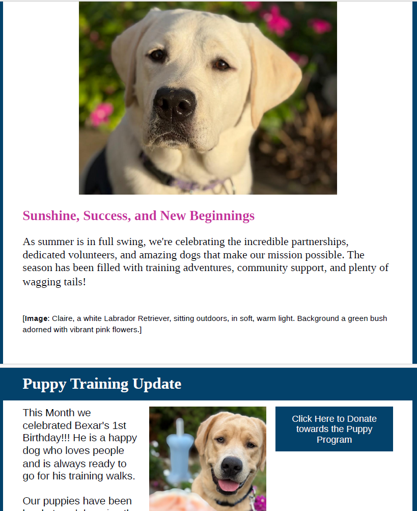 July 2026 Newsletter - Vision Guide Dogs
